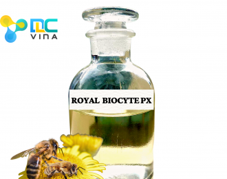 Chiết xuất sữa ong chúa (Royal Biocyte PX)