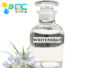 Whitenergy ( Chiết xuất hoa sao)